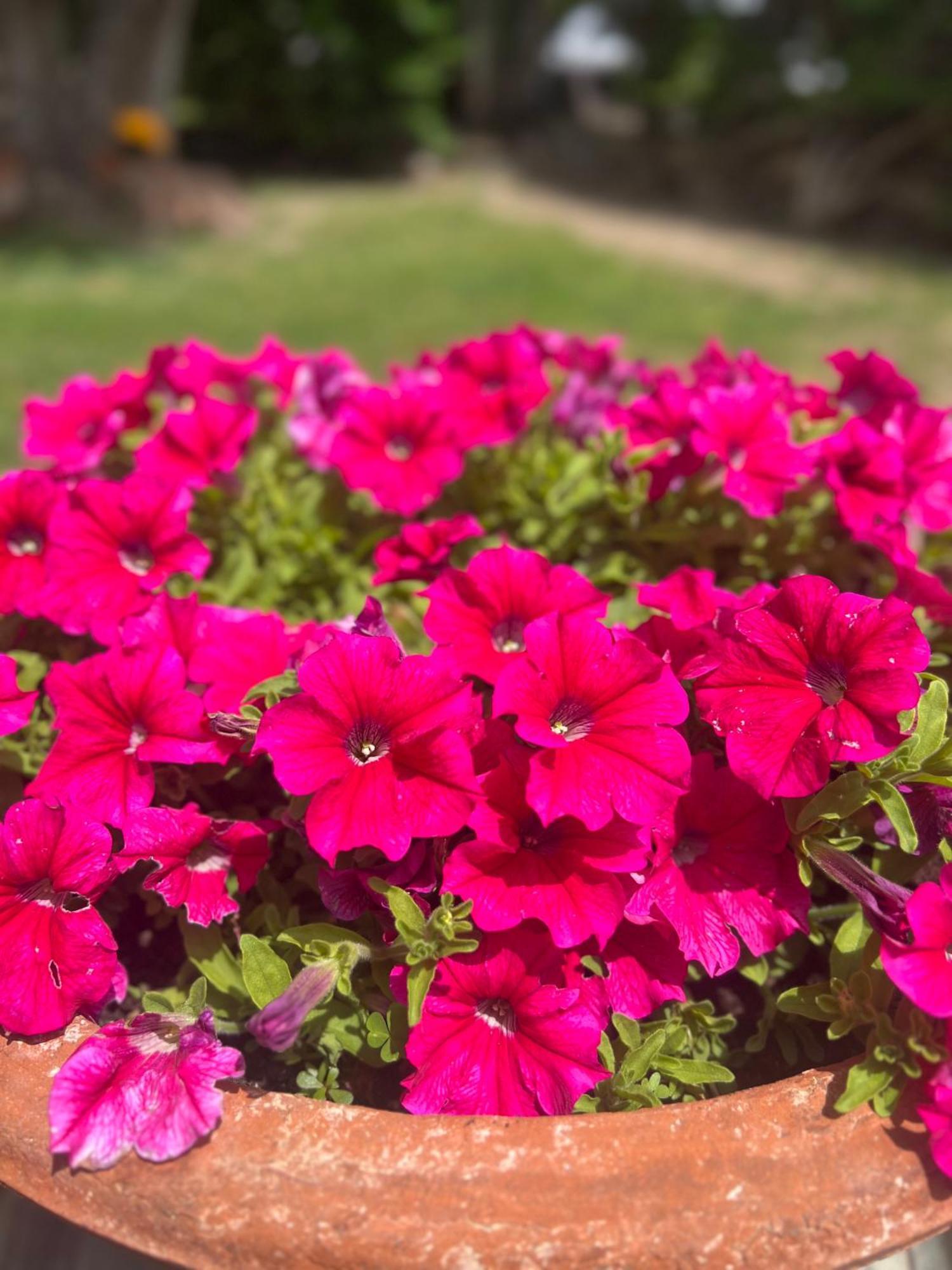 Rosa Dei Venti 호텔 칼리아리 외부 사진