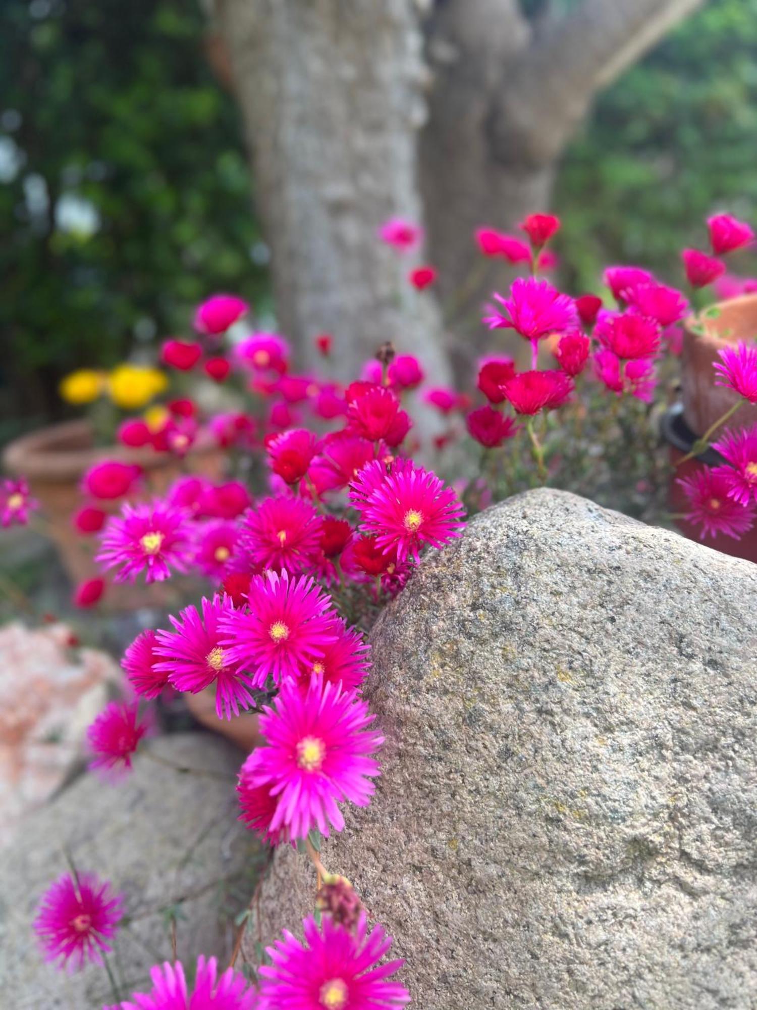 Rosa Dei Venti 호텔 칼리아리 외부 사진